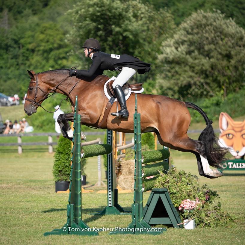 Horse of the Year